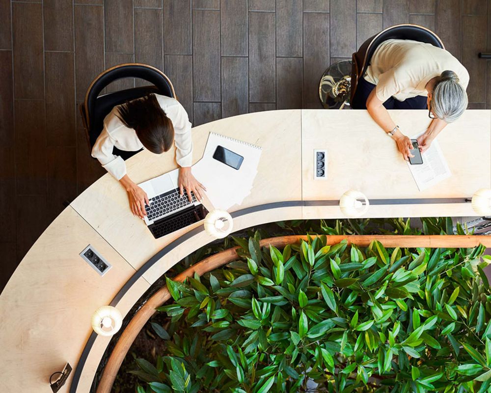 Zwei Mitarbeiter sind aus der Vogelperspektive abgebildet, wie sie in einem modernen Büro mit viel Grün arbeiten.